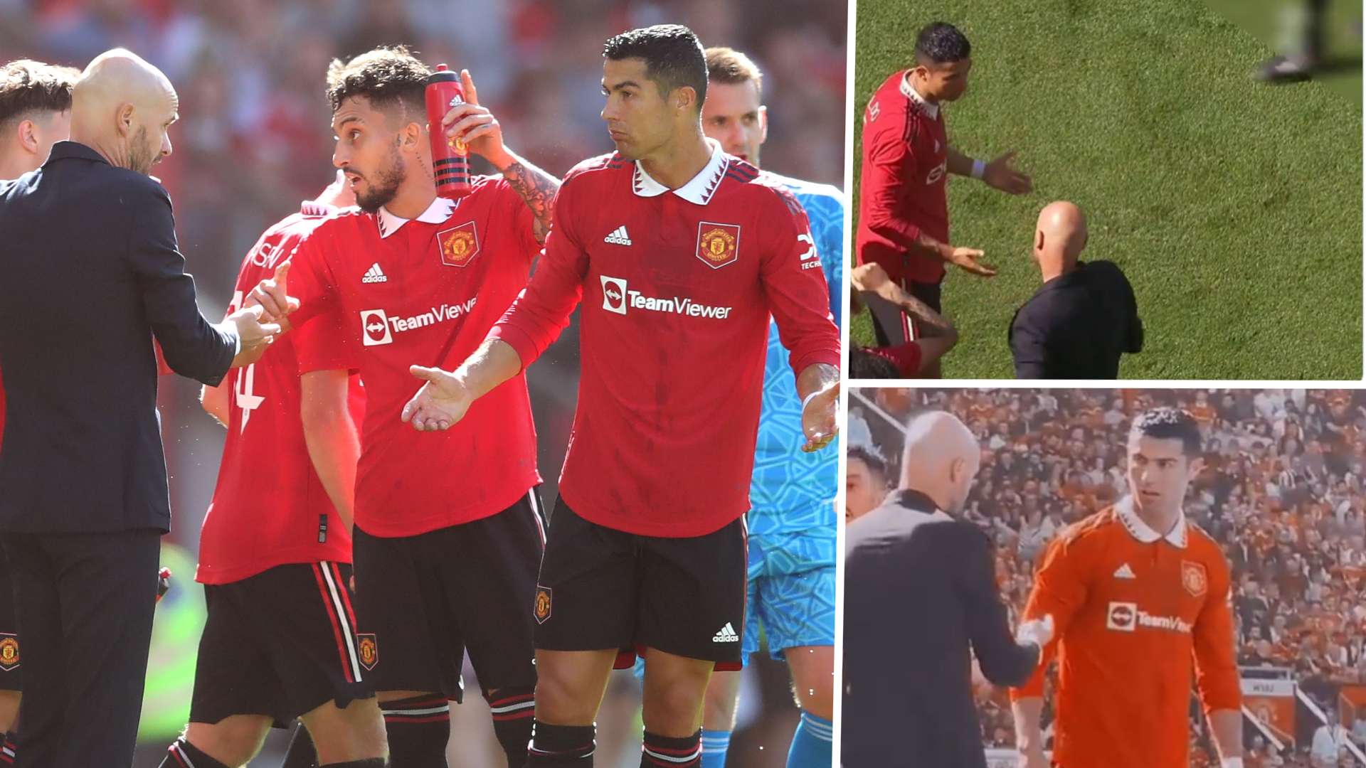 不仅个体表 不仅个体表